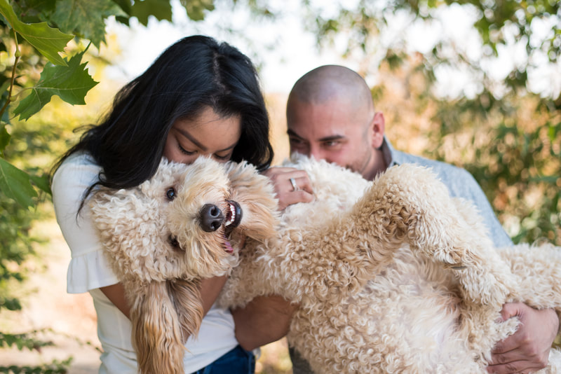 candid playful couple portrait photo with dog